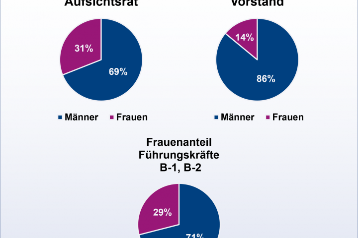 Grafik die den Anteil von Frauen im Finanzsektor darstellt
